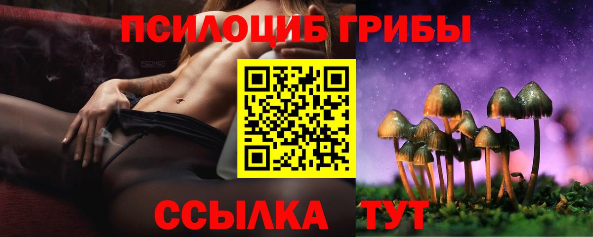 Галлюциногенные грибы GOLDEN TEACHER  Вход с VPN  Дагестанские Огни 