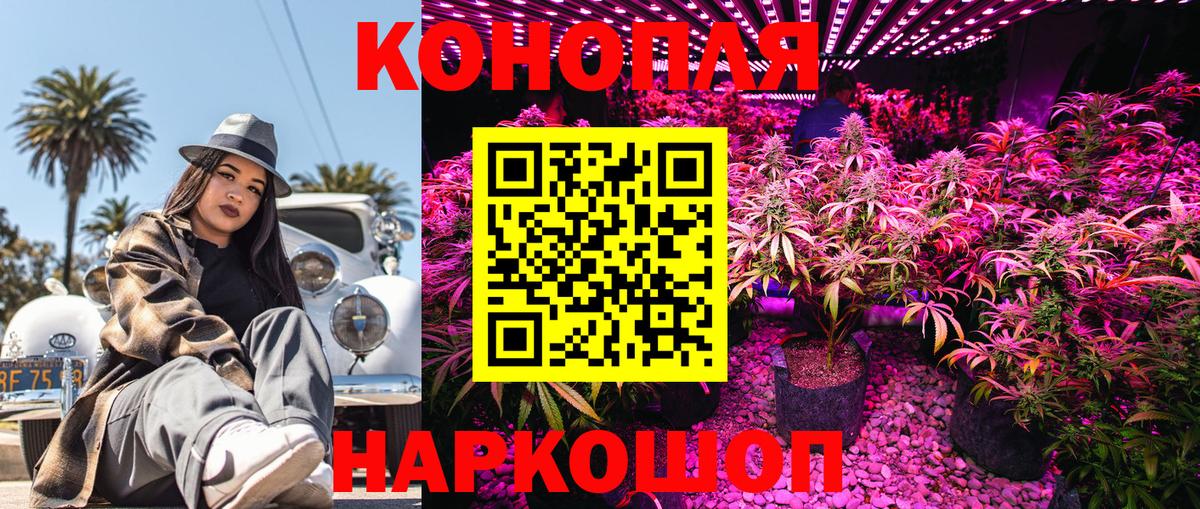 Канабис Bruce Banner  Шишки марихуана планчик  Дагестанские Огни  Вход с VPN 